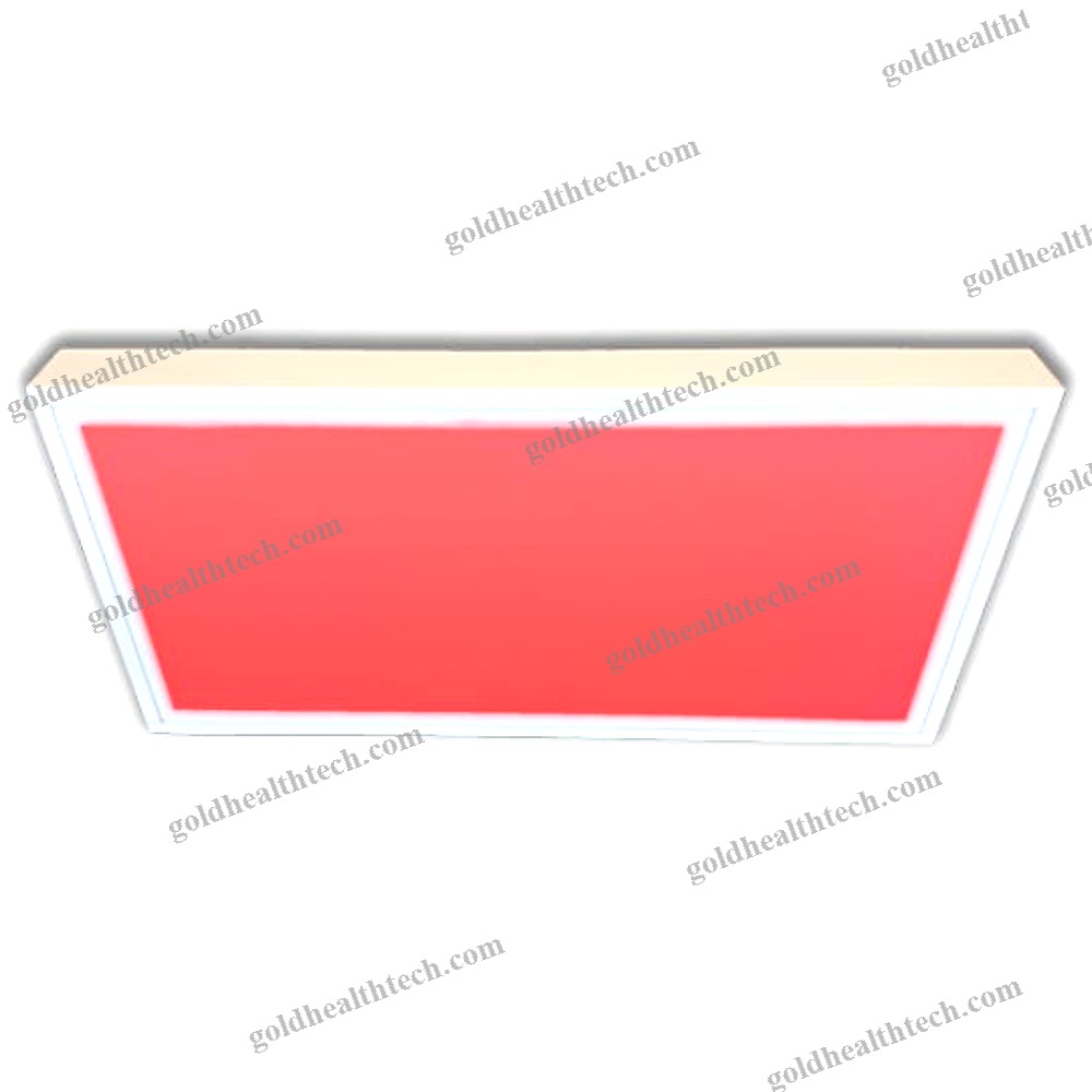 Veterinary Examination Light