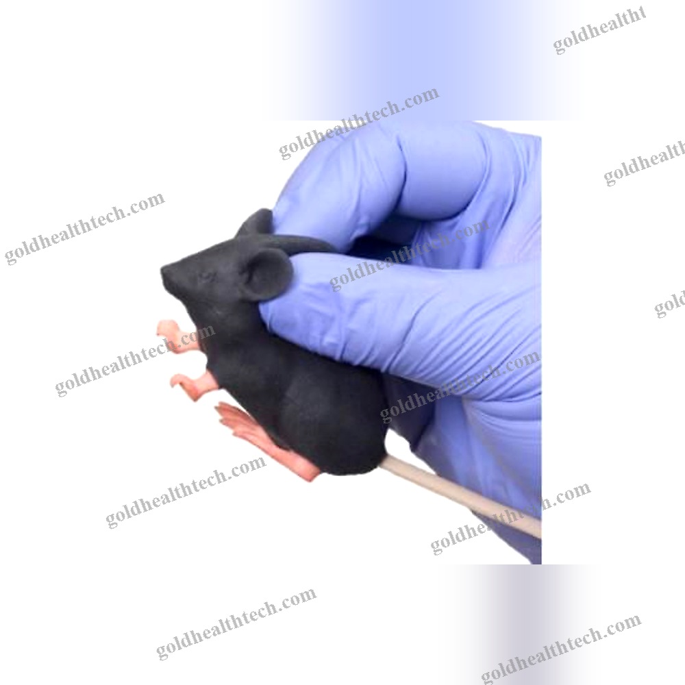 Intravenous Injection Simulator