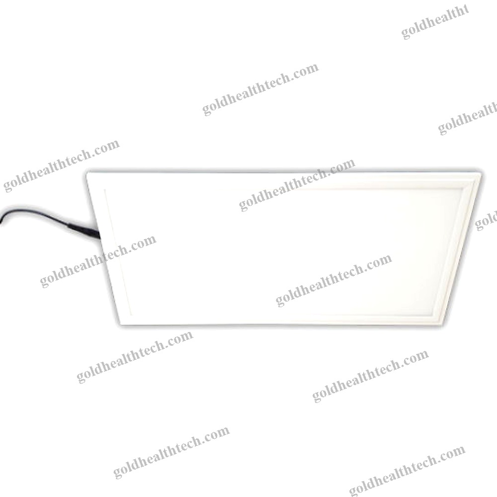 Veterinary Examination Light
