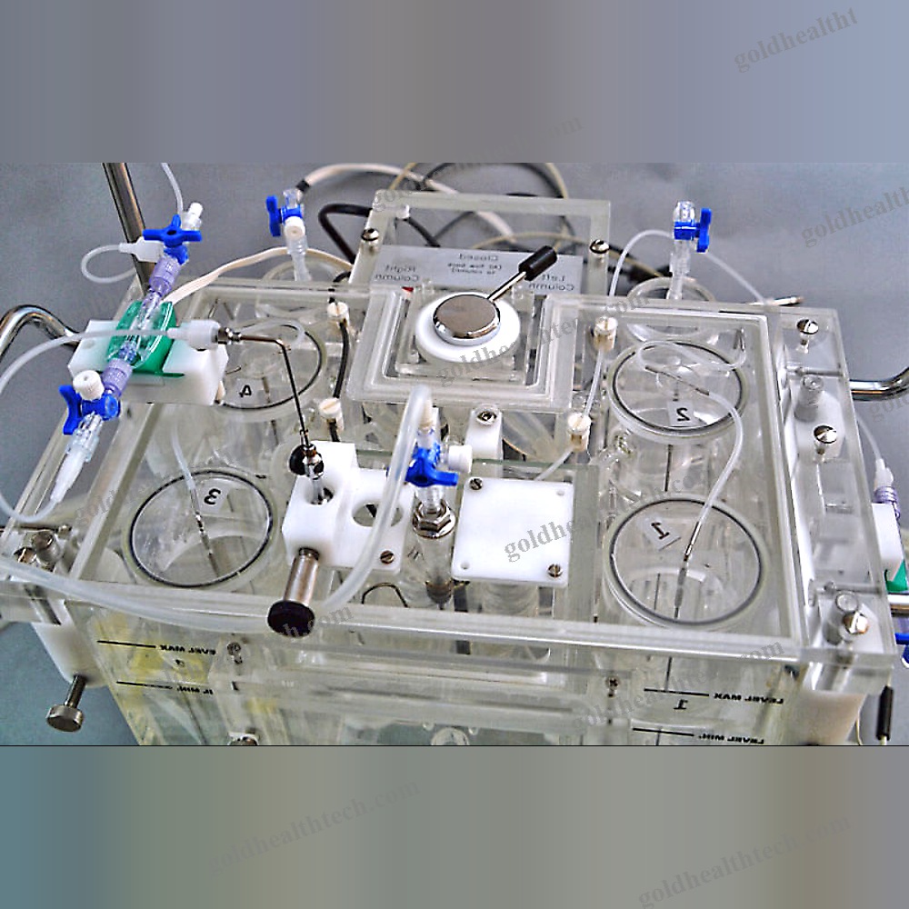 Animal Research Organ Perfusion System