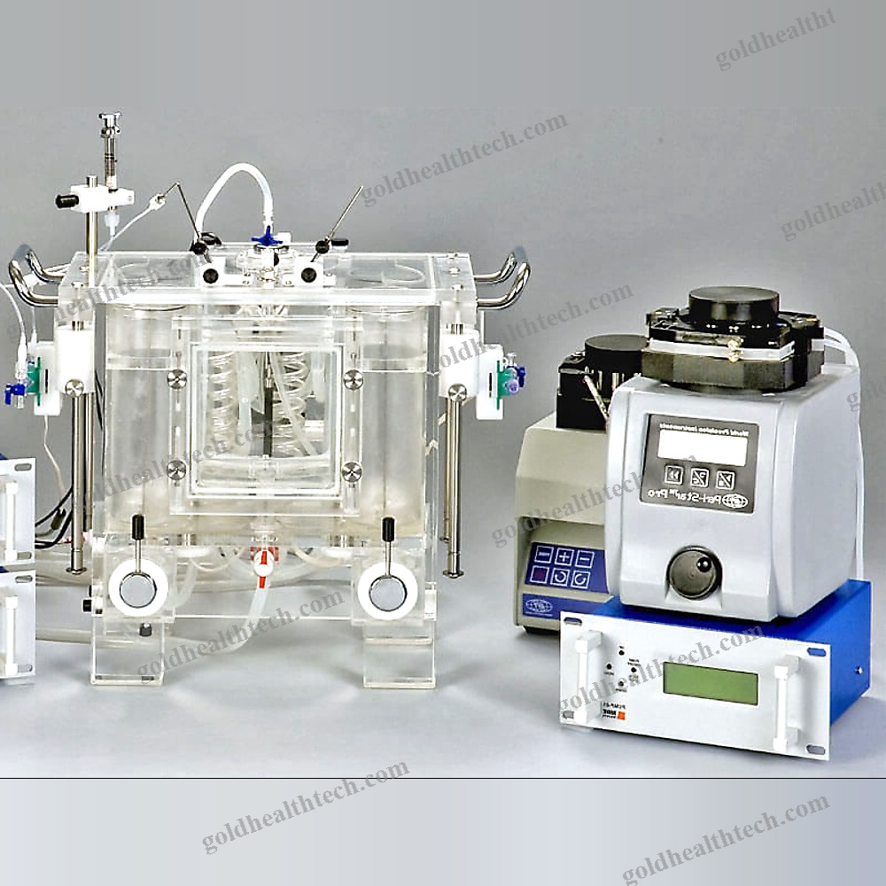 Animal Research Organ Perfusion System