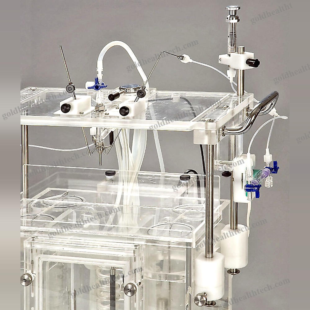Animal Research Organ Perfusion System