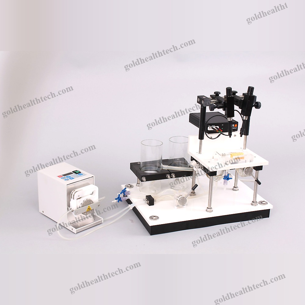 Heart Organ Perfusion System