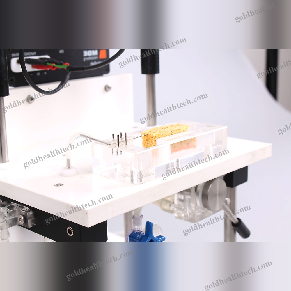 Heart Organ Perfusion System