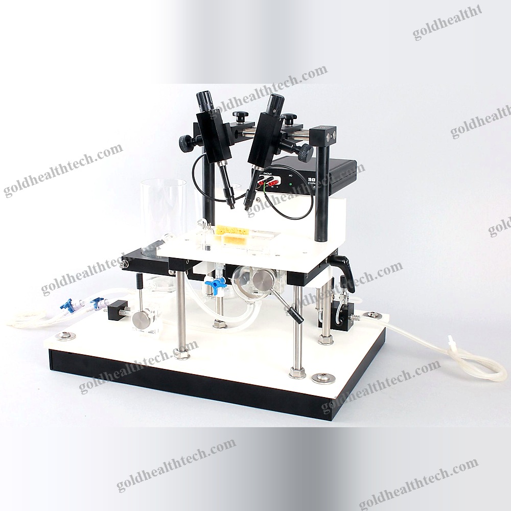 Heart Organ Perfusion System
