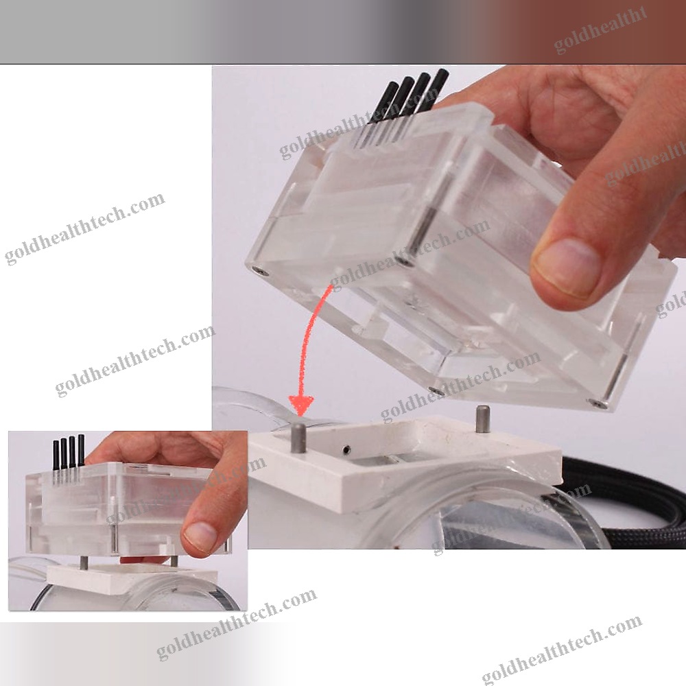 Animal Research Organ Perfusion System