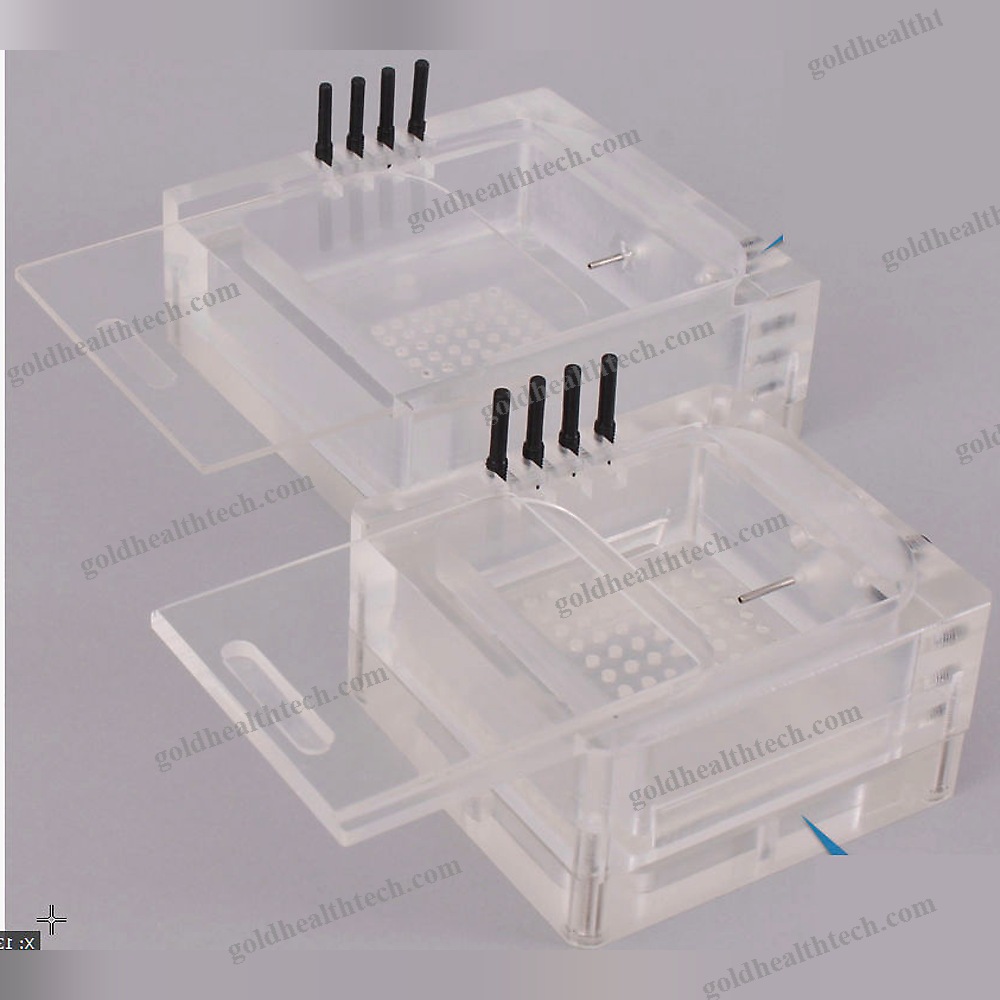 Animal Research Organ Perfusion System