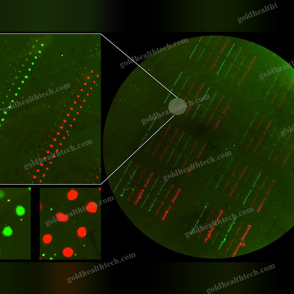 Microarray Scanner