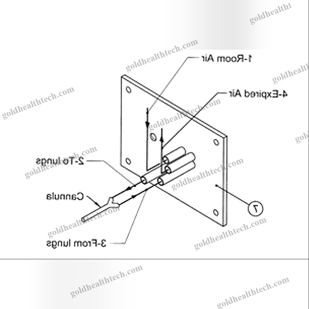 Veterinary Ventilator