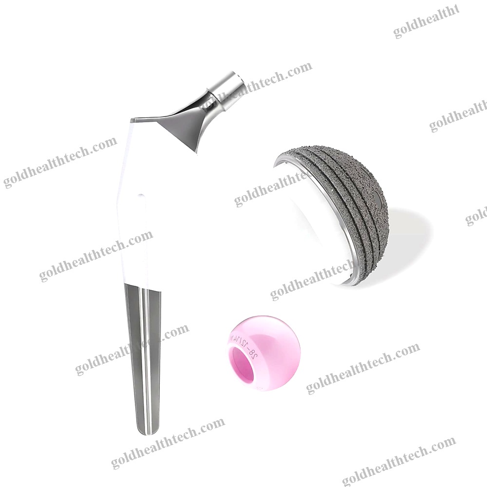 Cementless Femoral Stem