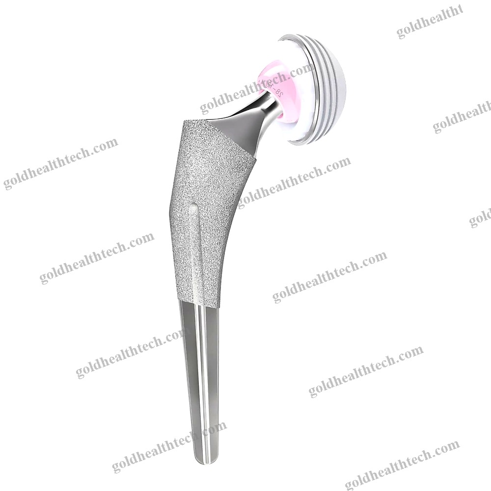 Cementless Femoral Stem