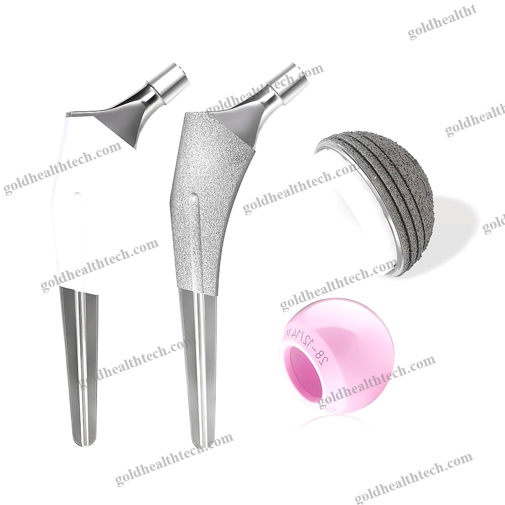 Cementless Femoral Stem