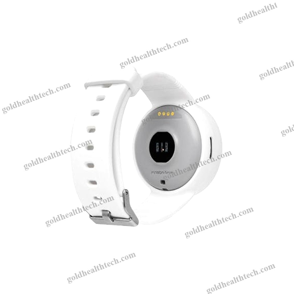 Physical Activity Wrist Monitor