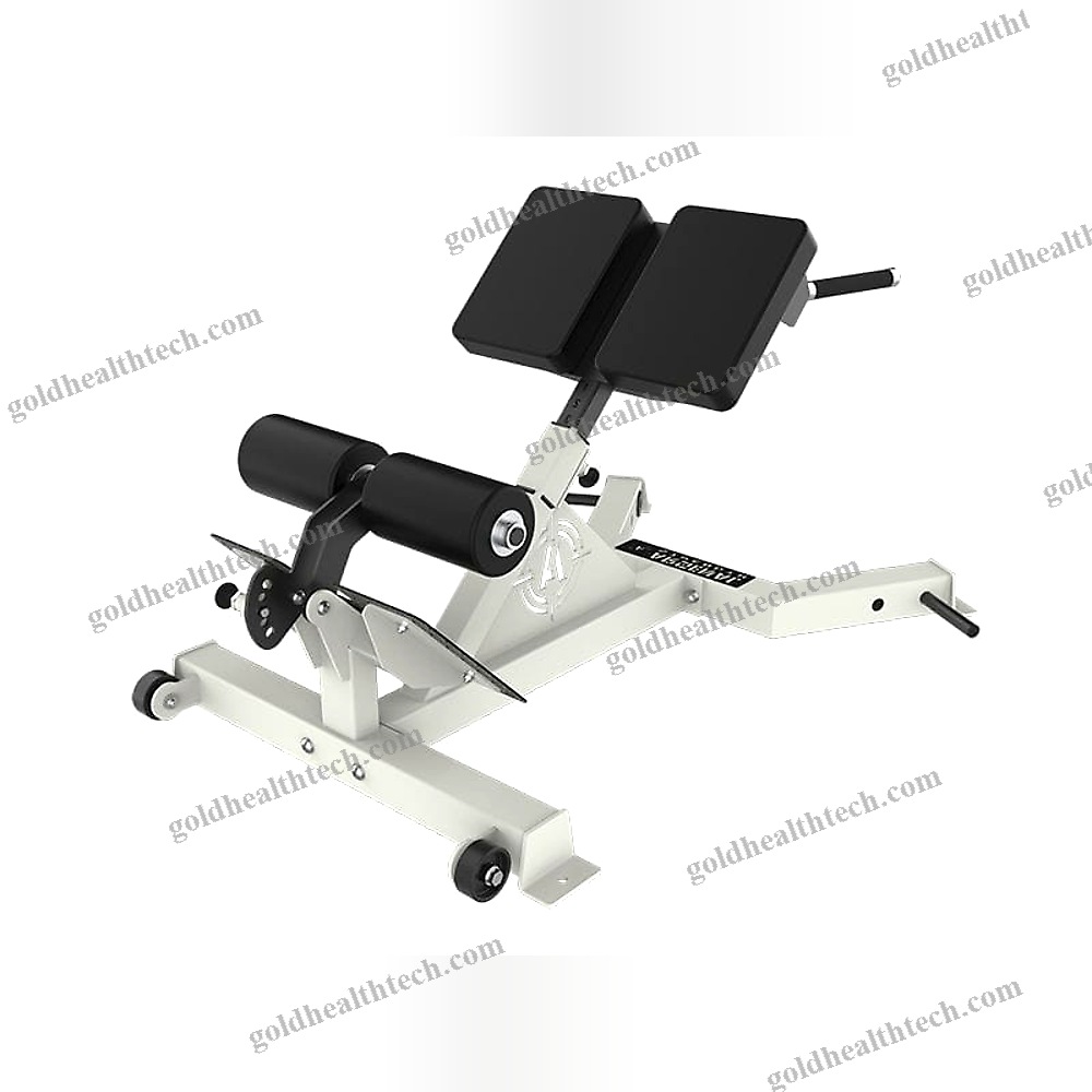 Lumbar Extension Weight Training Bench