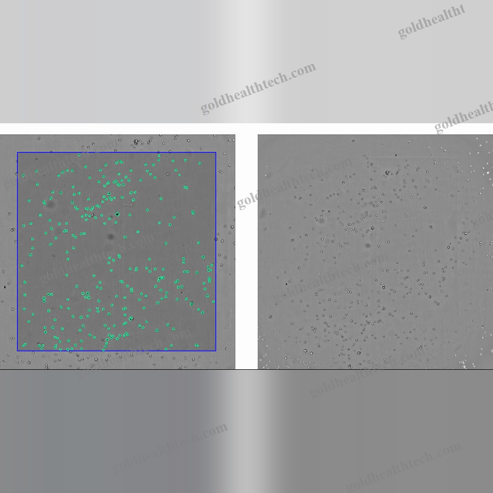 Molecular Biology Software