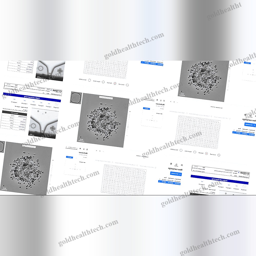 Molecular Biology Software