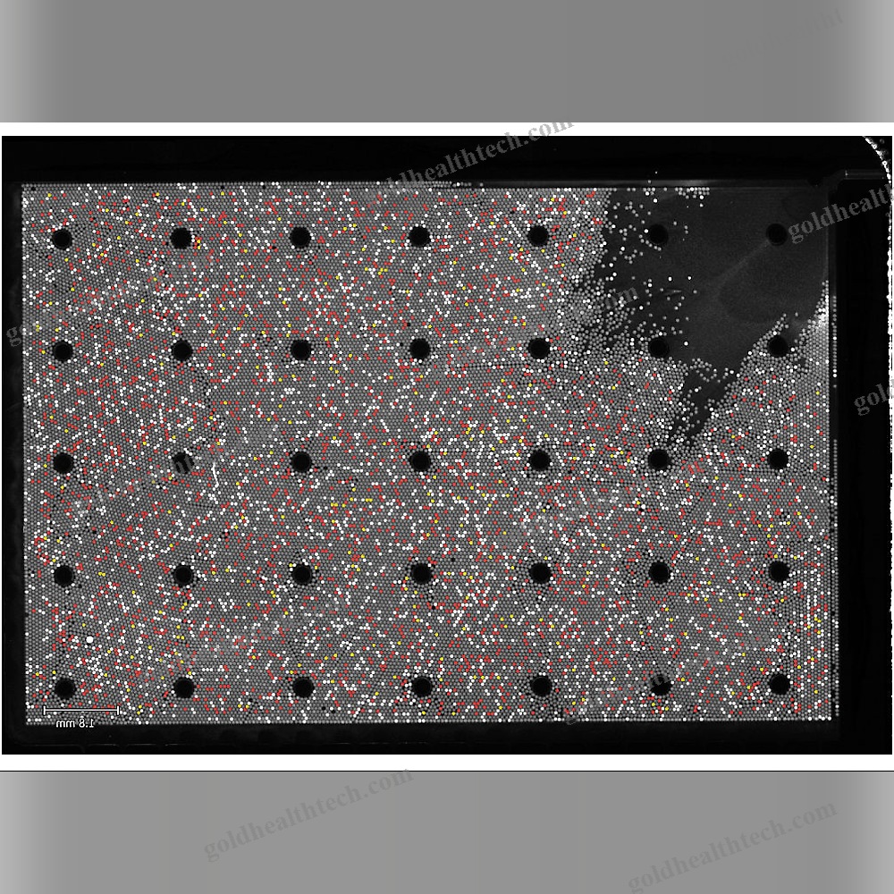 Pcr Software