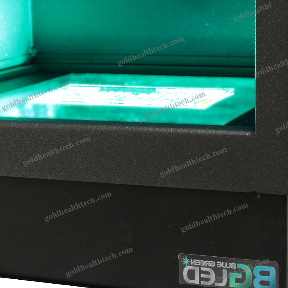 Fluorescence Gel Documentation System