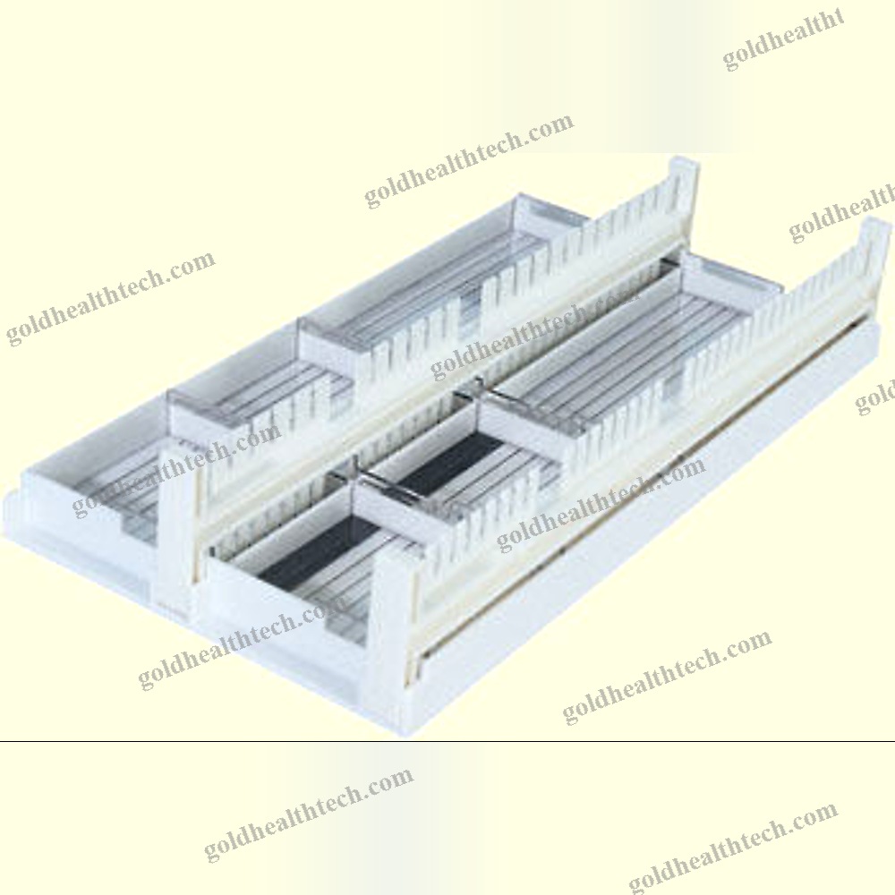 Agarose Gel Electrophoresis System
