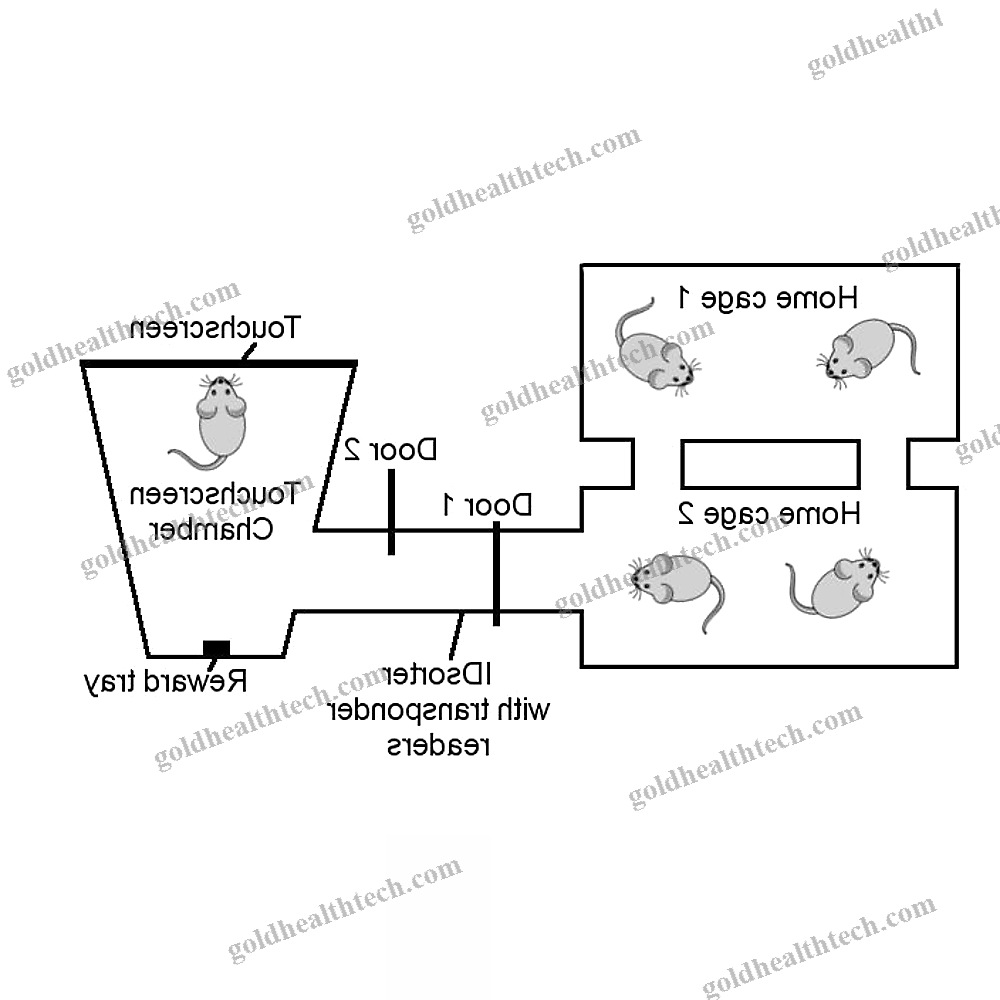 Small Animal Operant Behavior System