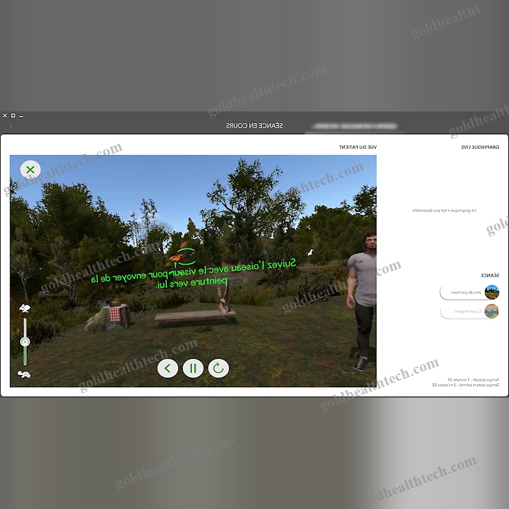 Balance Rehabilitation System