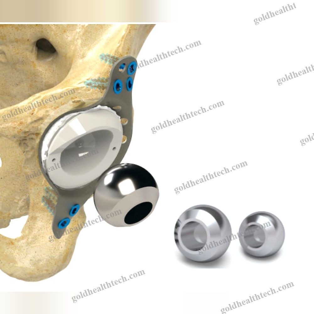 Revision Femoral Head Prosthesis