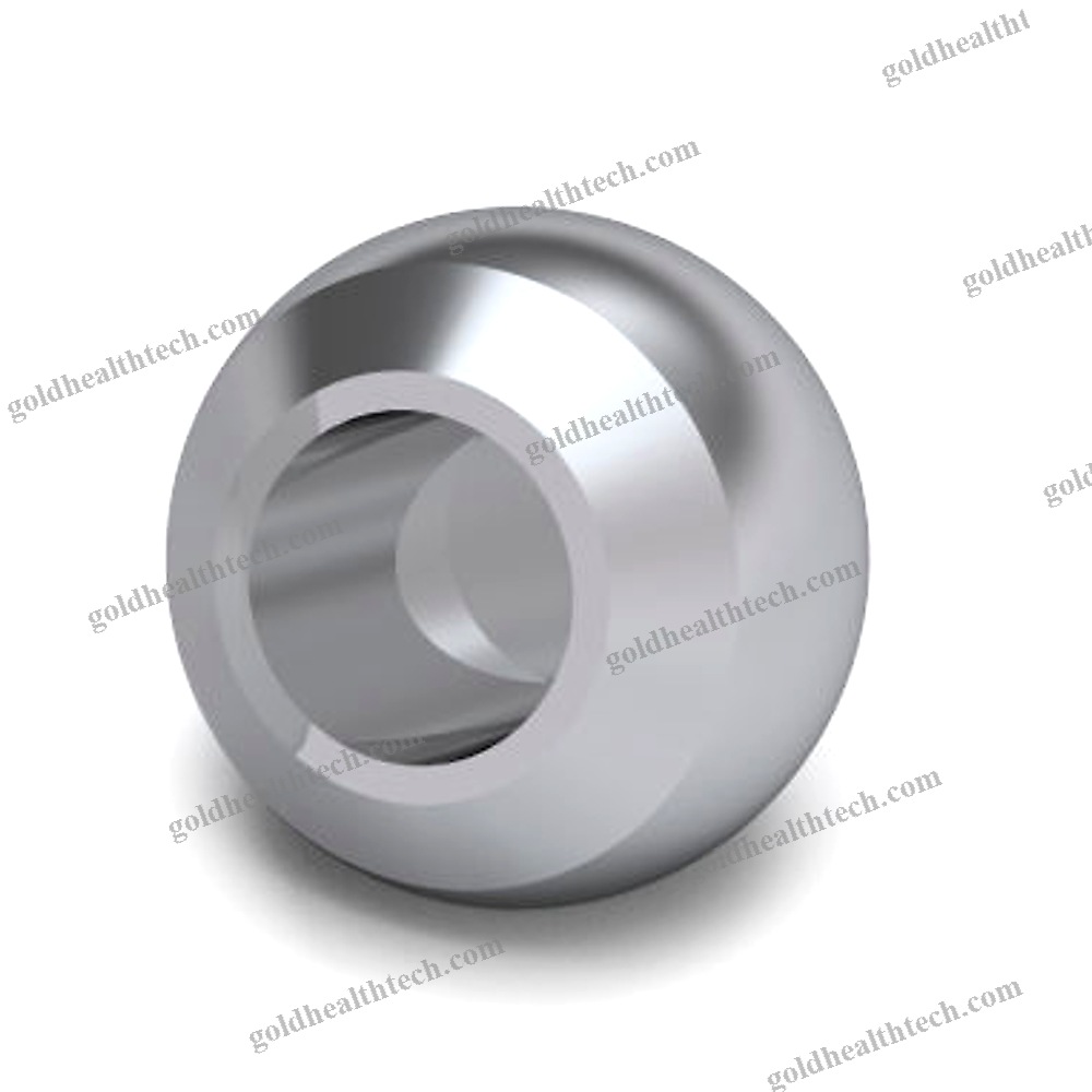 Femoral Head Prosthesis