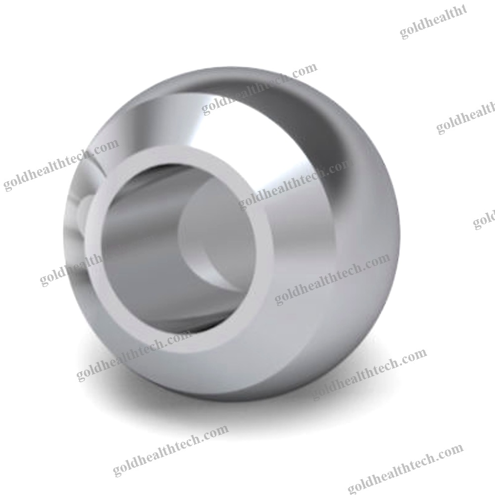 Femoral Head Prosthesis