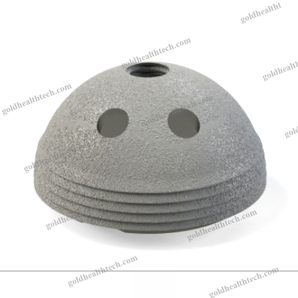 Cementless Acetabular Prosthesis