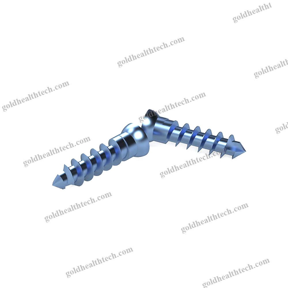 Cementless Acetabular Prosthesis
