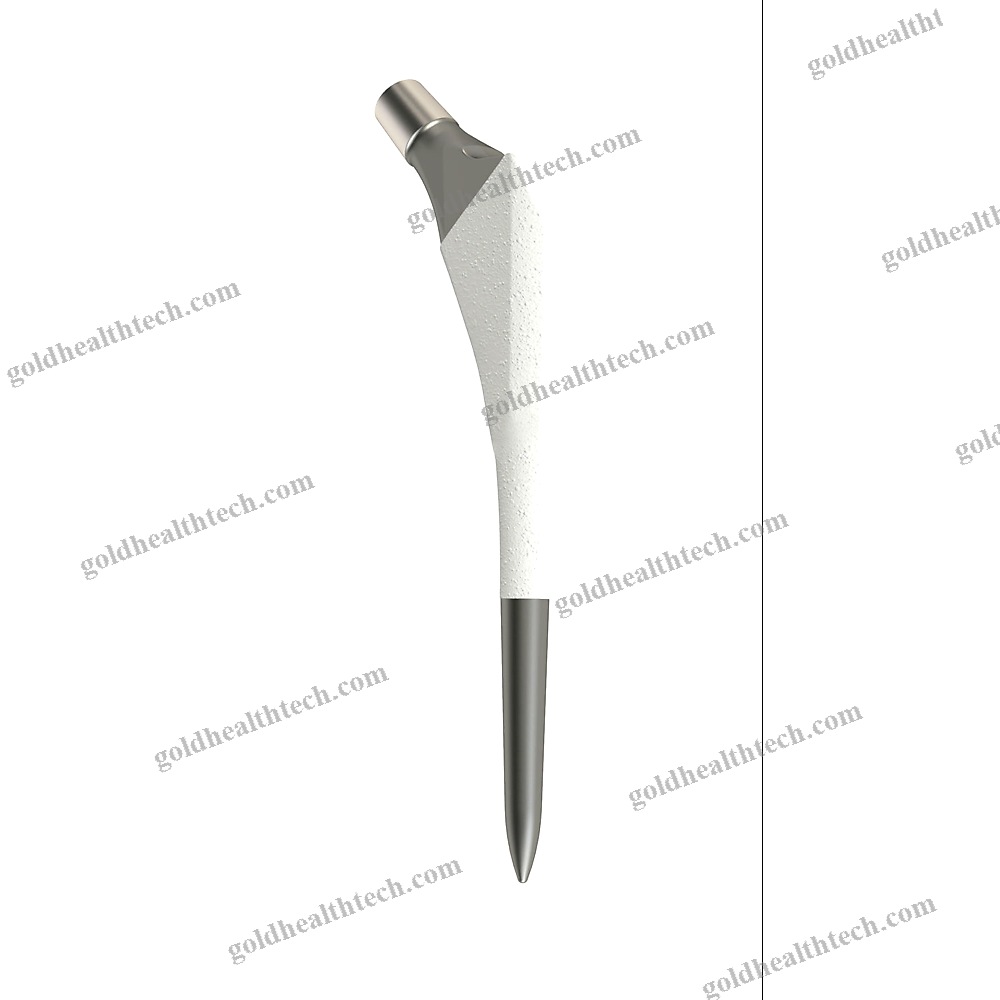 Cementless Femoral Stem