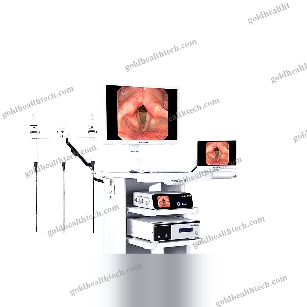 Ent Endoscopy Column