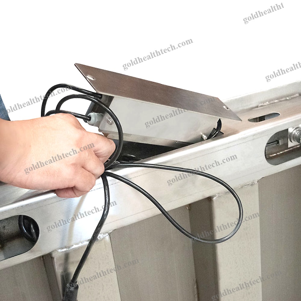 Electronic Platform Scale