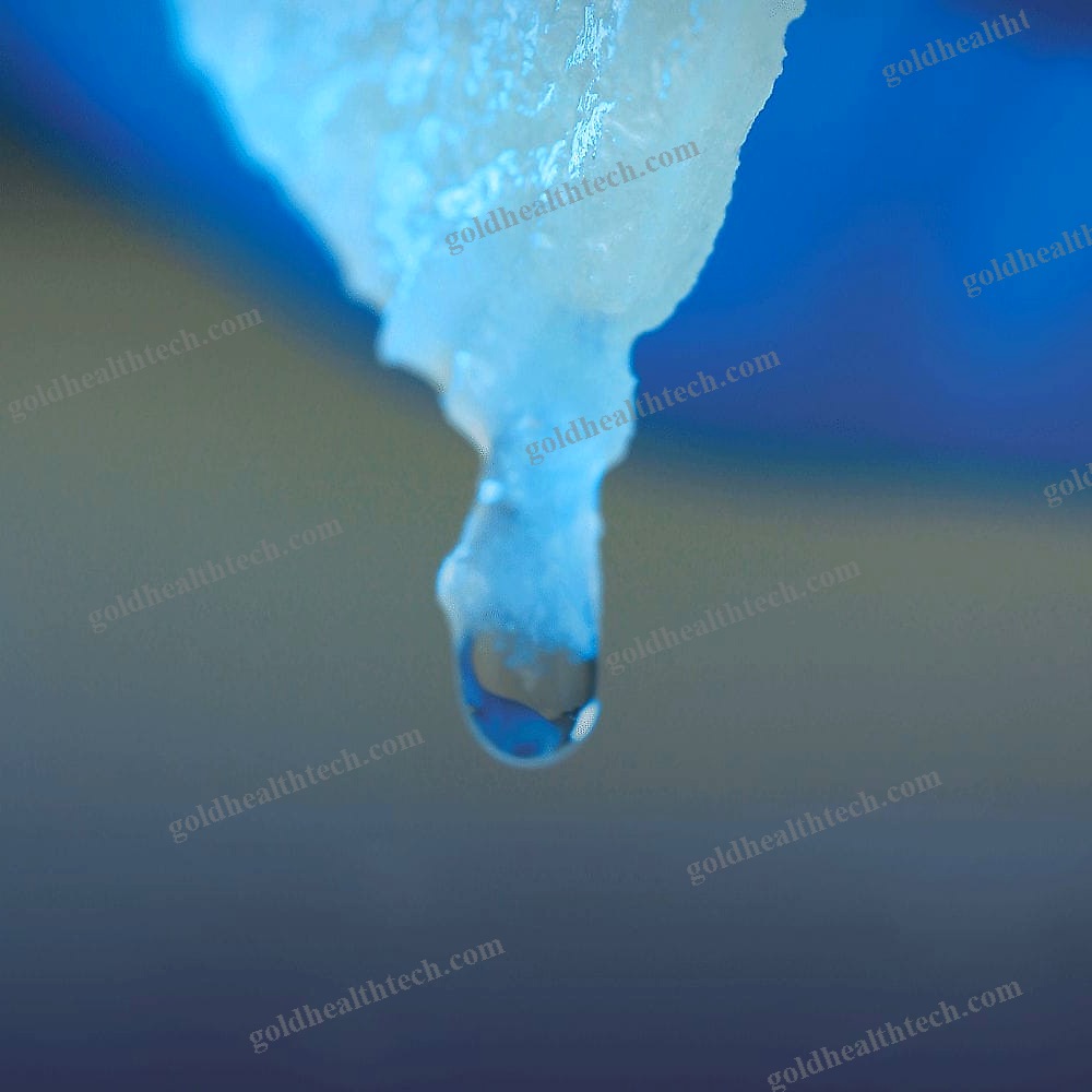 Bovine Calcaneal Tendon Dural Substitute