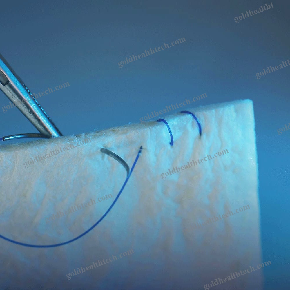 Bovine Calcaneal Tendon Dural Substitute