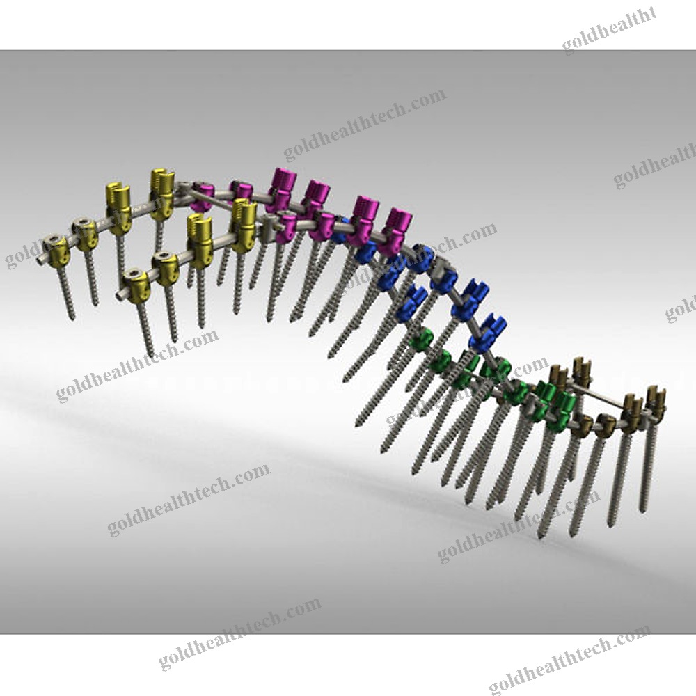 Thoraco-Lumbar Osteosynthesis Unit