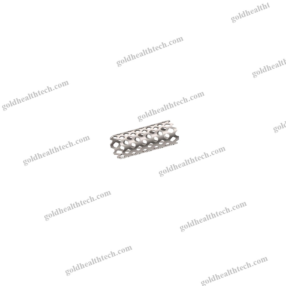 Thoraco-Lumbar Vertebral Corpectomy Prosthesis