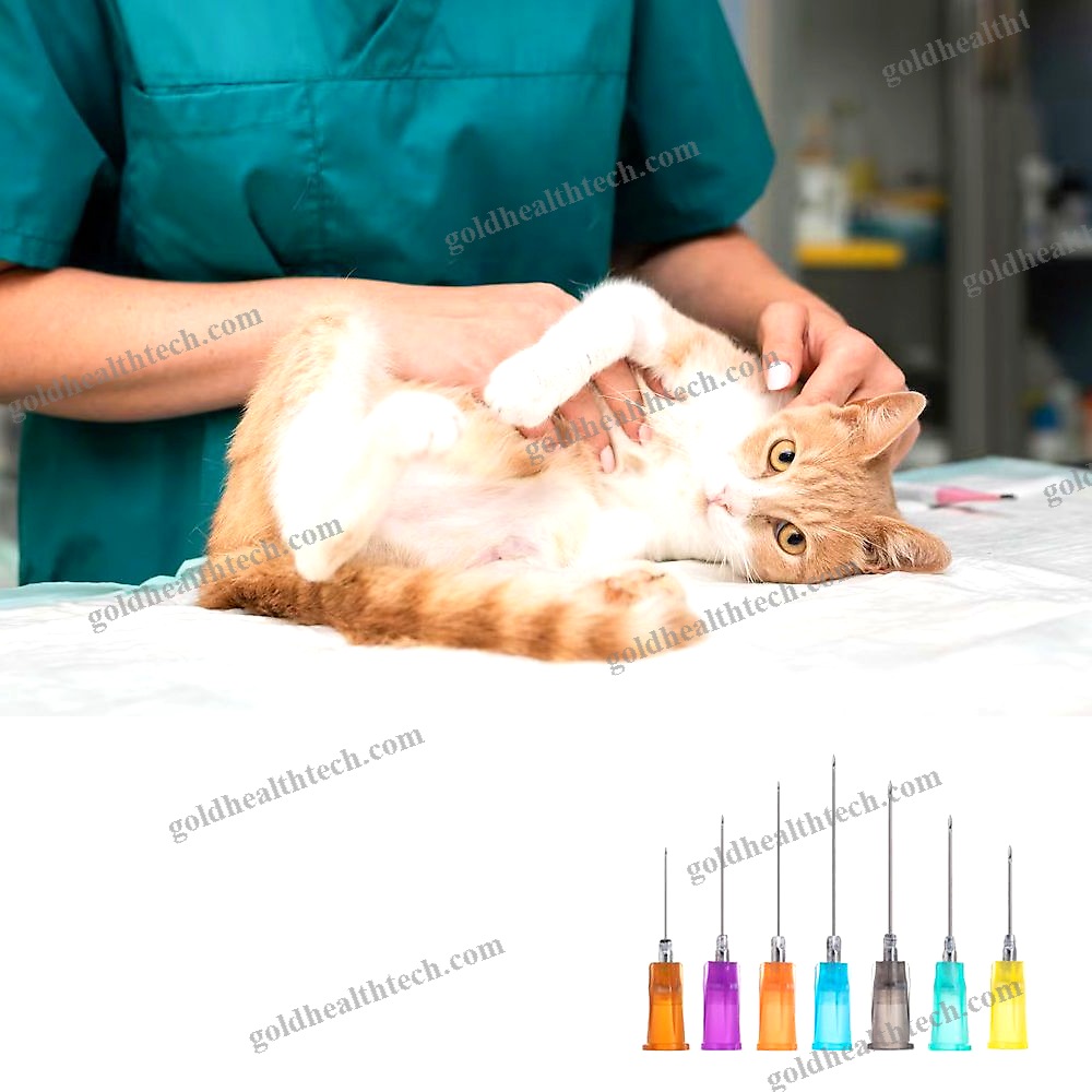 Veterinary Needle
