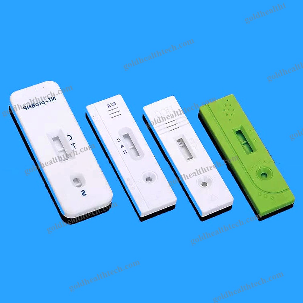 Rapid Infectious Disease Test