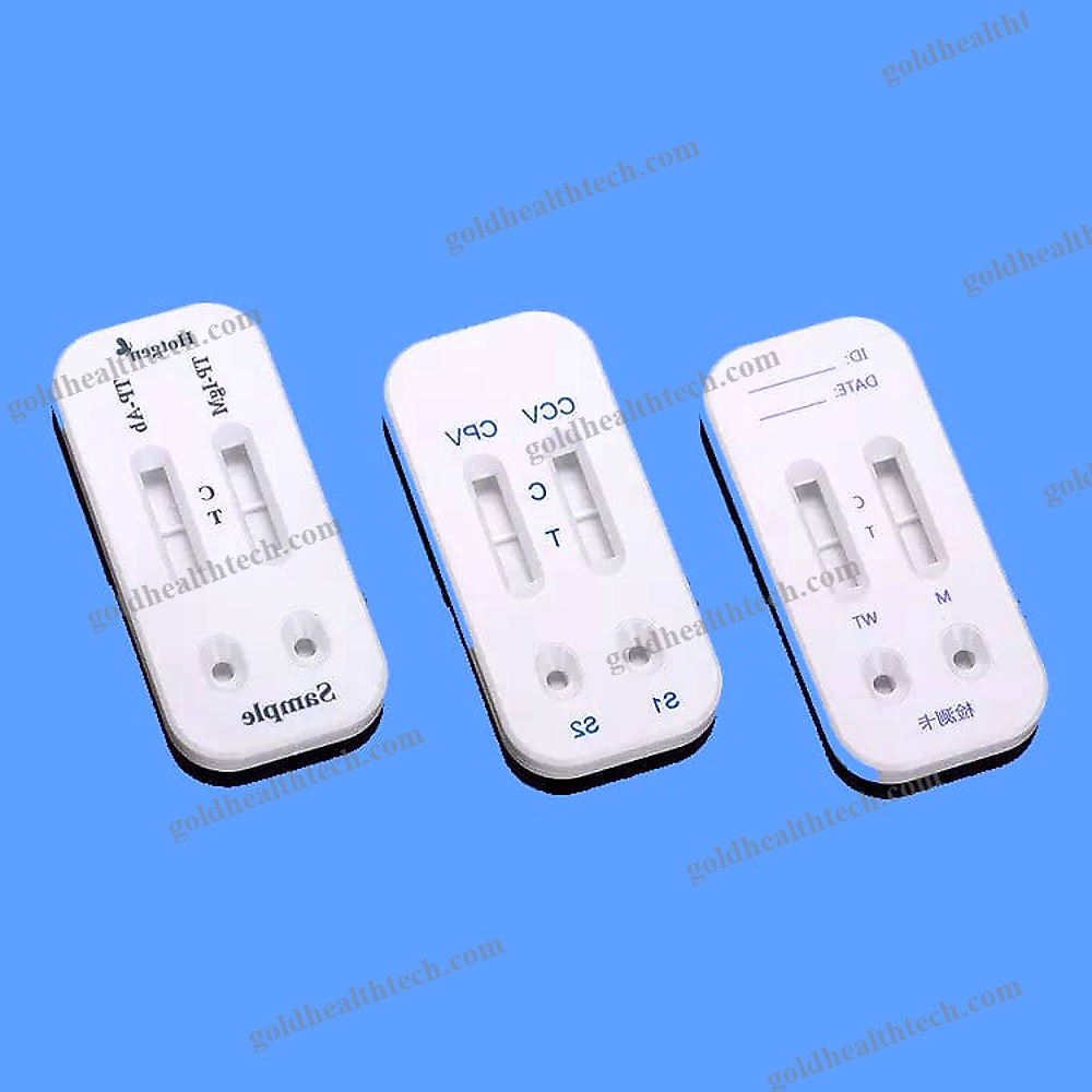 Rapid Infectious Disease Test