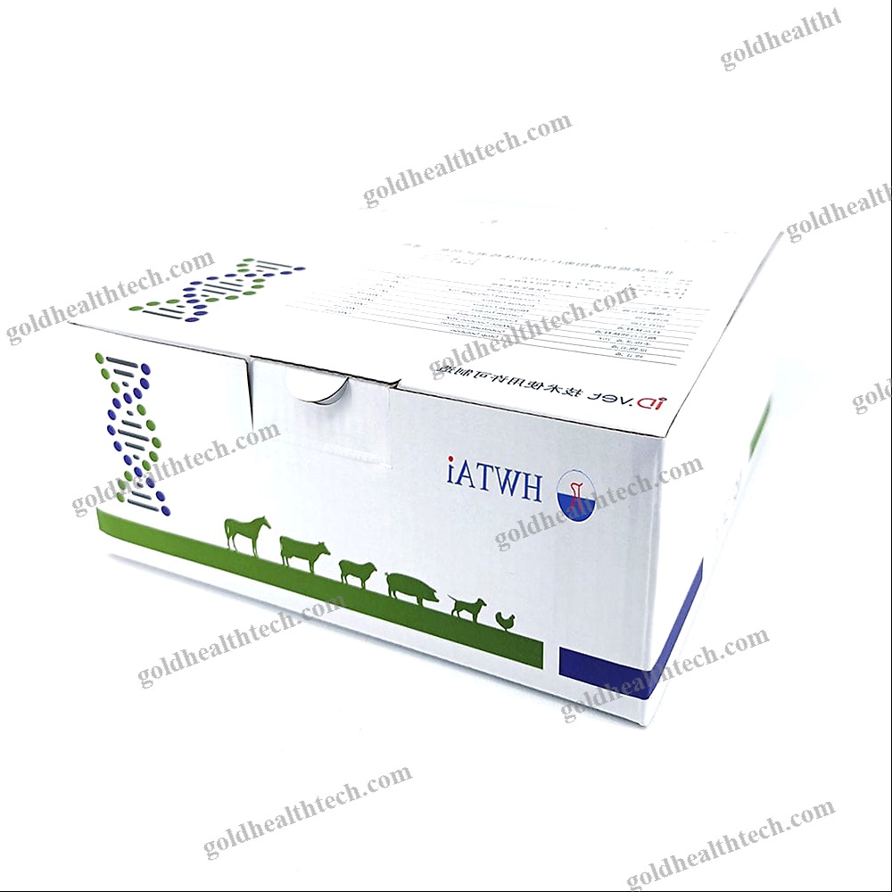 Rapid Infectious Disease Test