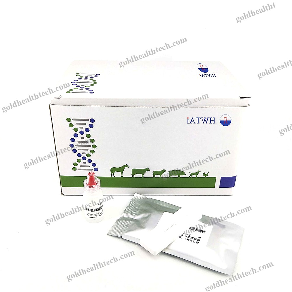 Rapid Infectious Disease Test