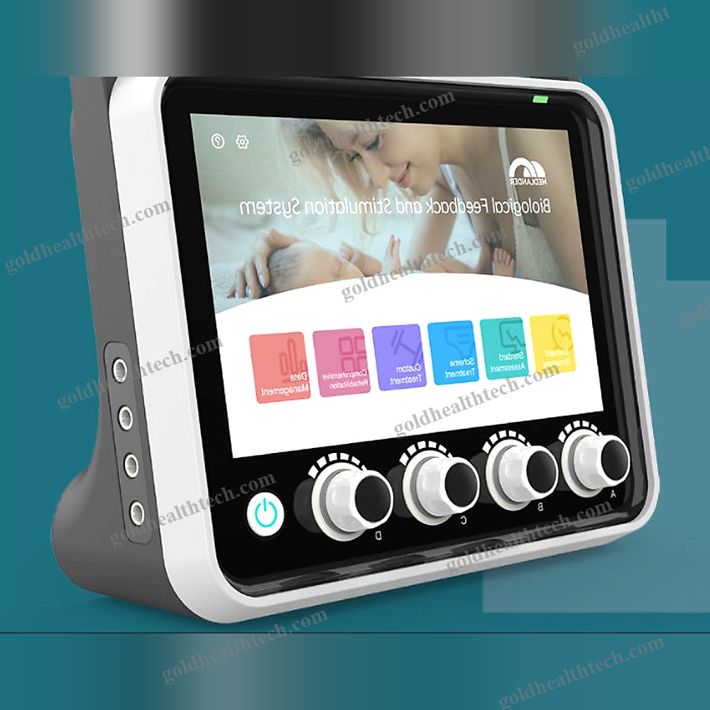 Pelvic Floor Rehabilitation System With Pelvic Electromyography