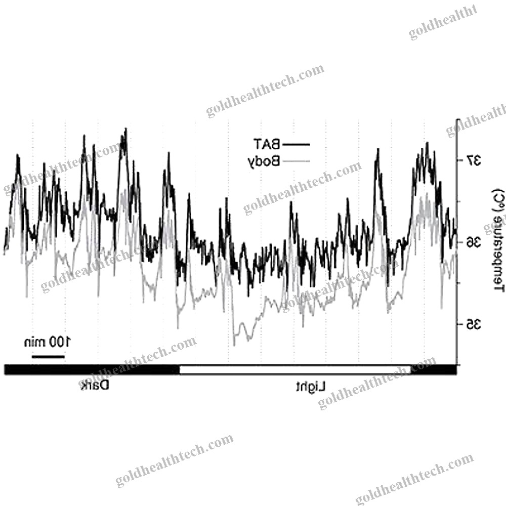 Animal Research Telemetry Implant