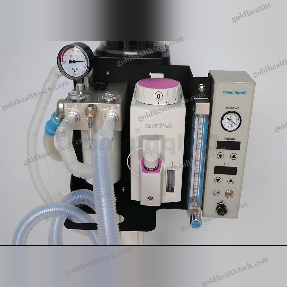 Small Animal Veterinary Anesthesia Workstation