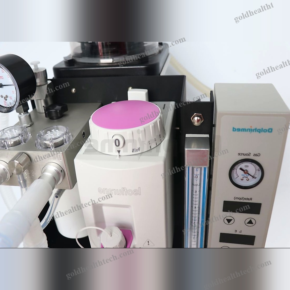 Small Animal Veterinary Anesthesia Workstation