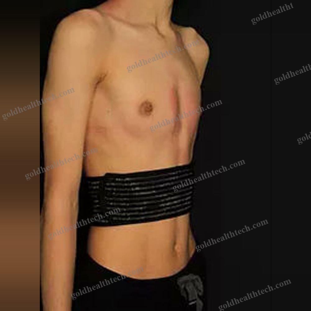 Thoracic Support Belt