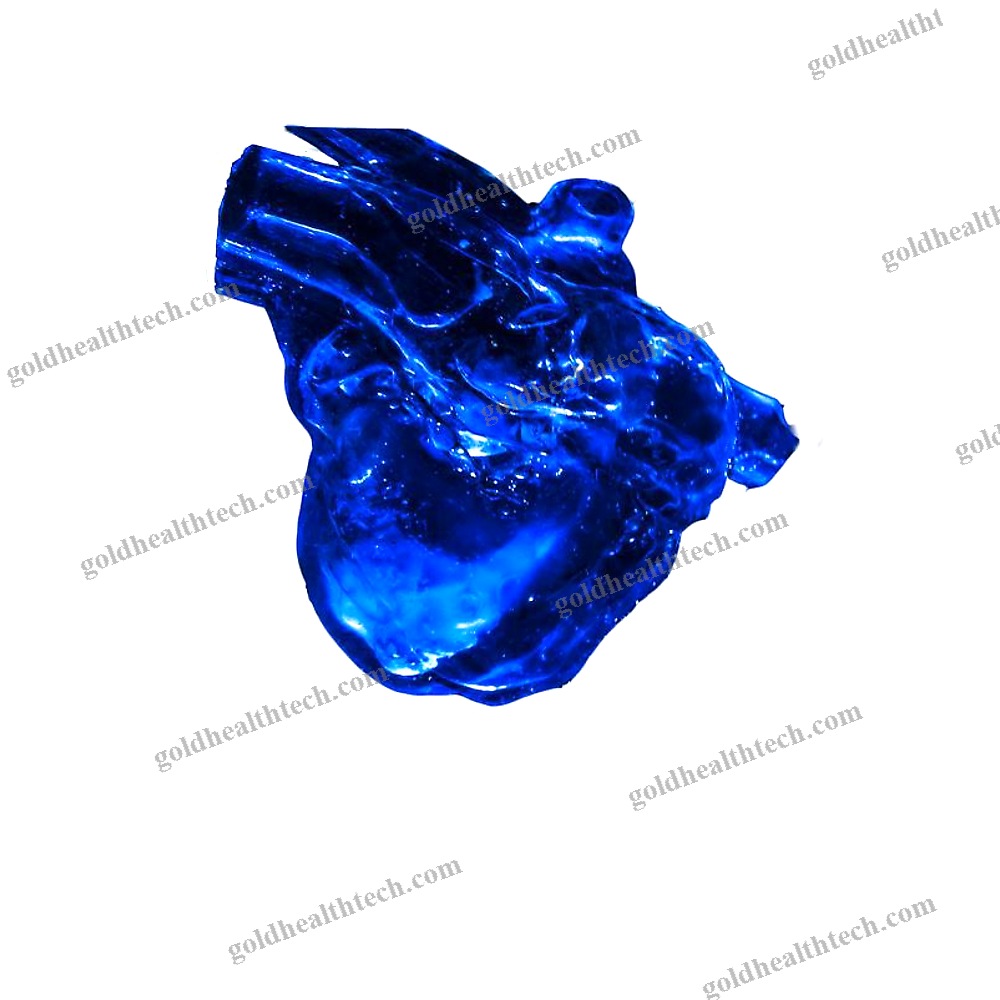 Heart Model