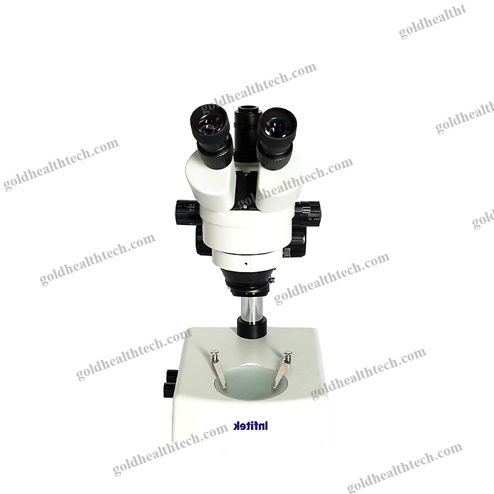 Dissection Stereo Microscope