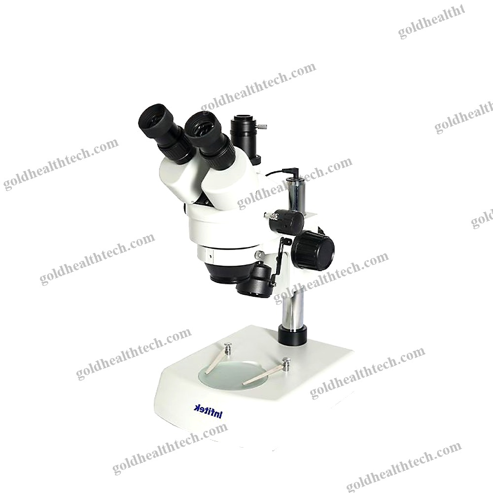 Dissection Stereo Microscope